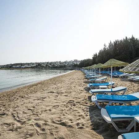 Altin Yunus & - Resort 5*