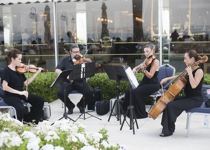 Θέρετρο Altin Yunus & - 5*