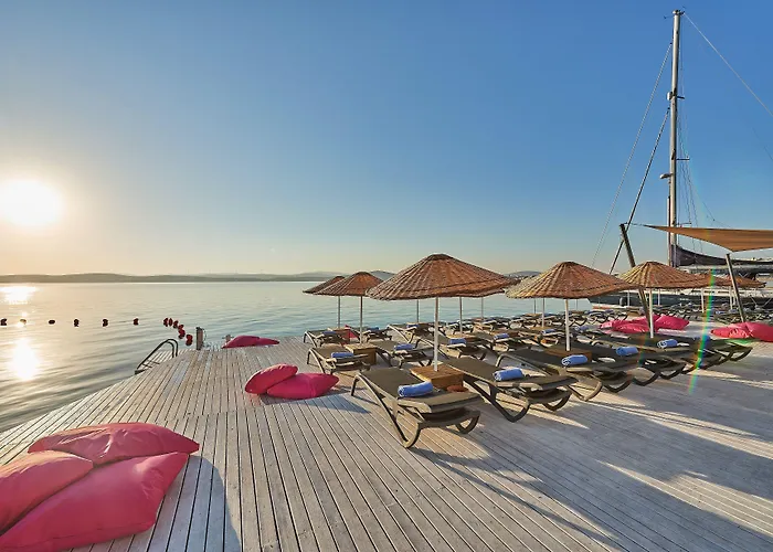 Altin Yunus & - Çeşme